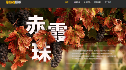 湛江網站建設SEO公司一定要知道的理論學習是什么?