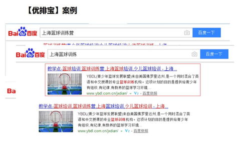 號(hào)眾 優(yōu)排寶 seo優(yōu)化助力企業(yè)網(wǎng)站關(guān)鍵詞快照排名,獲得海量客戶