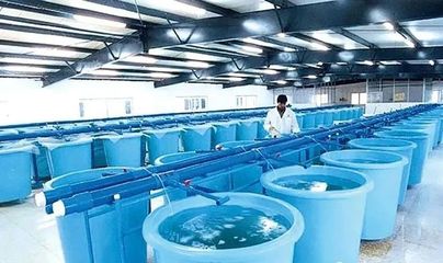 "中國對蝦之都"創(chuàng)七個全國第一!產(chǎn)業(yè)實力雄厚,擁有中國馳名商標2個、廣東省名牌產(chǎn)品43個